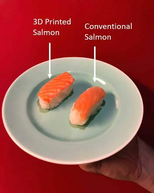 Revo Foods Salmon and Prototype web