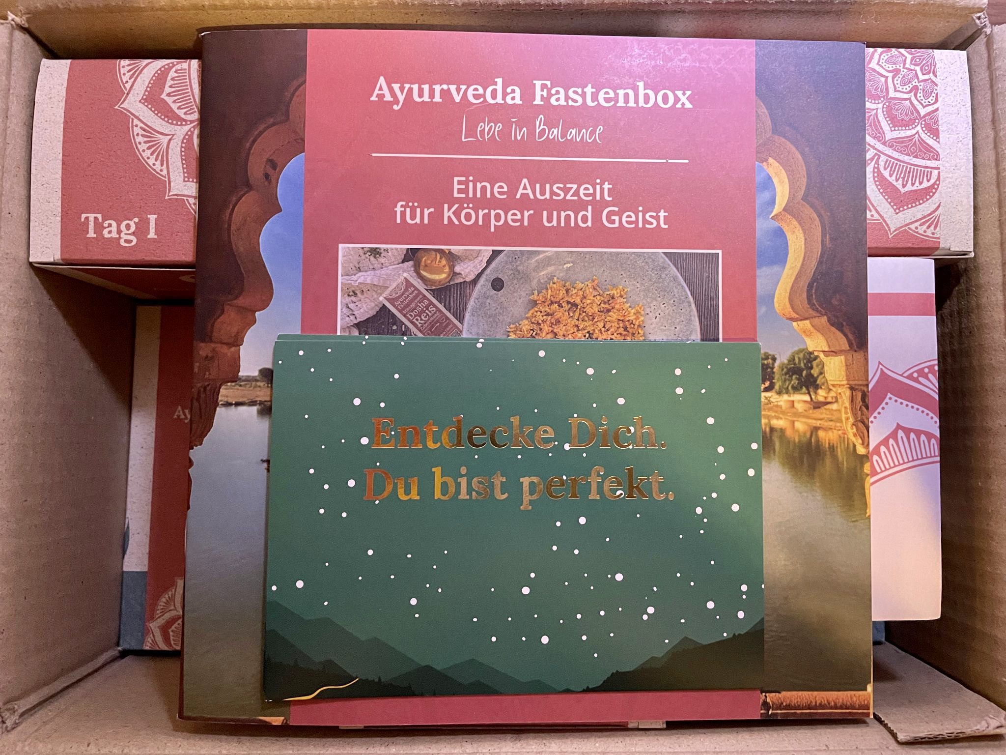 So ist die Salufast Fastenbox in der Ayurveda-Variante gepackt | Foto: Martina Gadiot